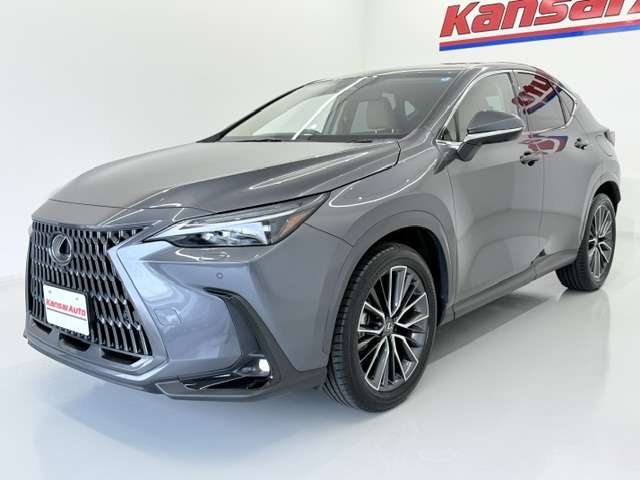 Lexus NX 7