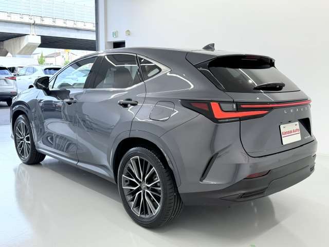 Lexus NX 8