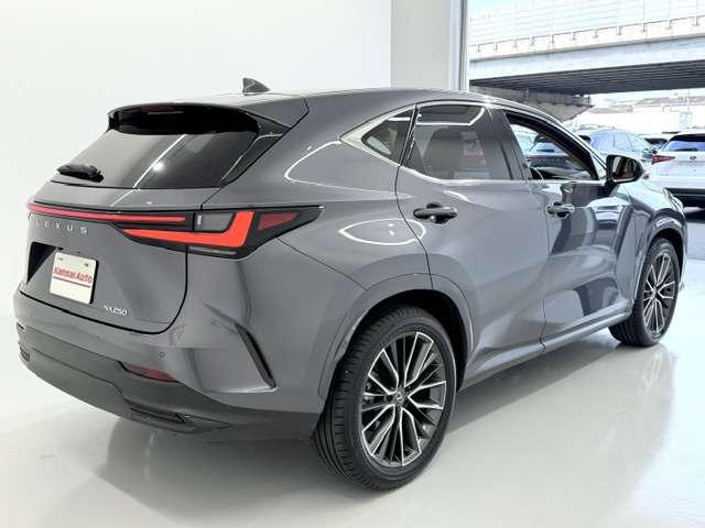 Lexus NX 9