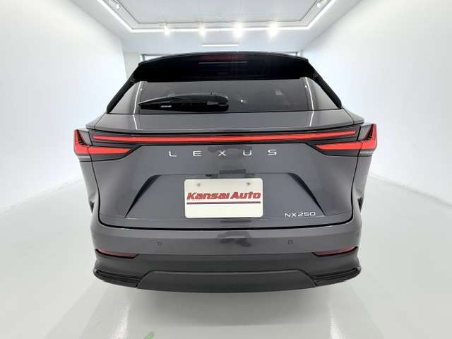 Lexus NX 10