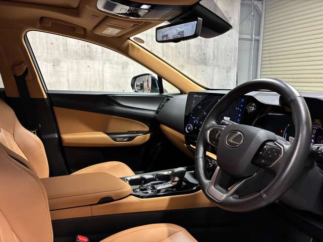 Lexus NX 12