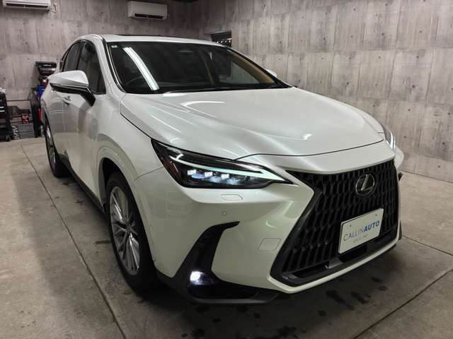 Lexus NX 3