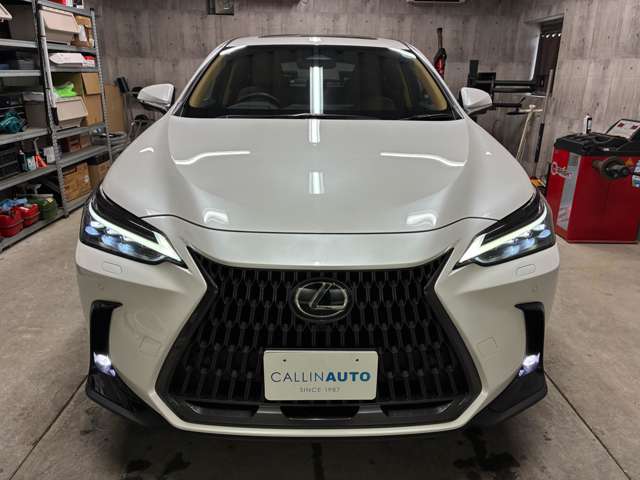 Lexus NX 4