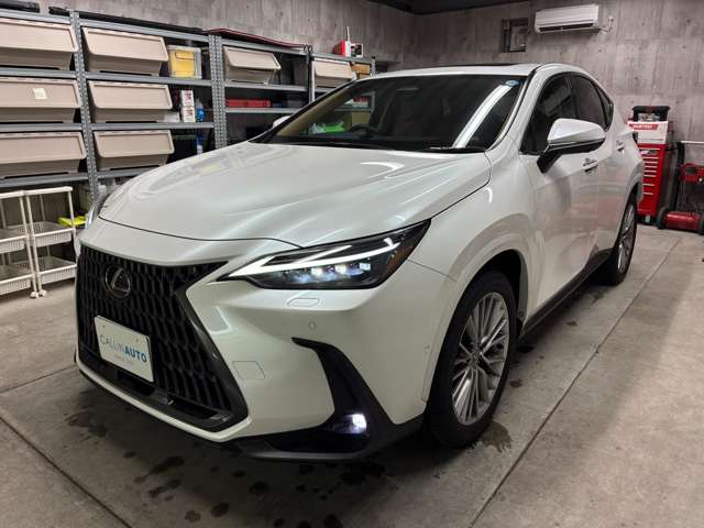 Lexus NX 5