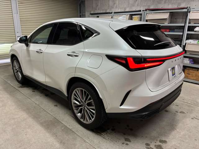 Lexus NX 6