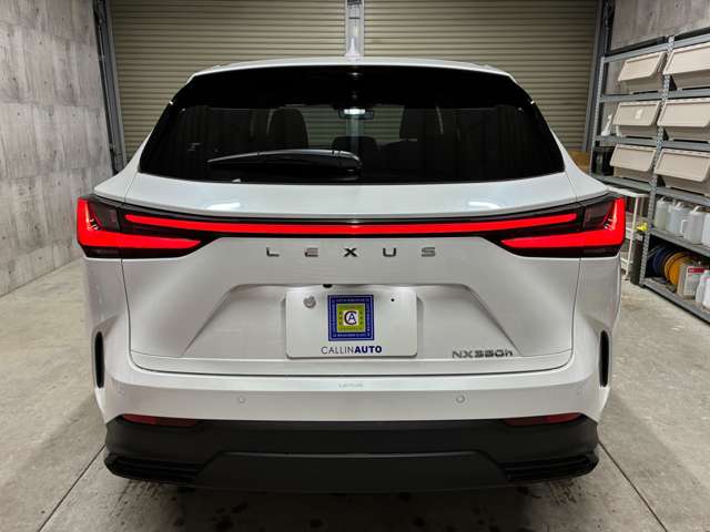 Lexus NX 7