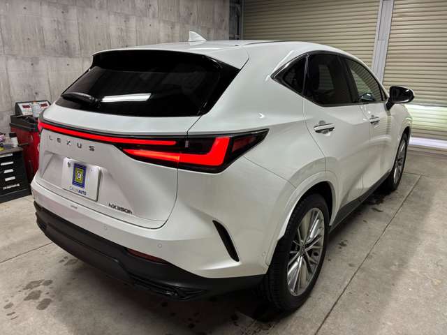 Lexus NX 8