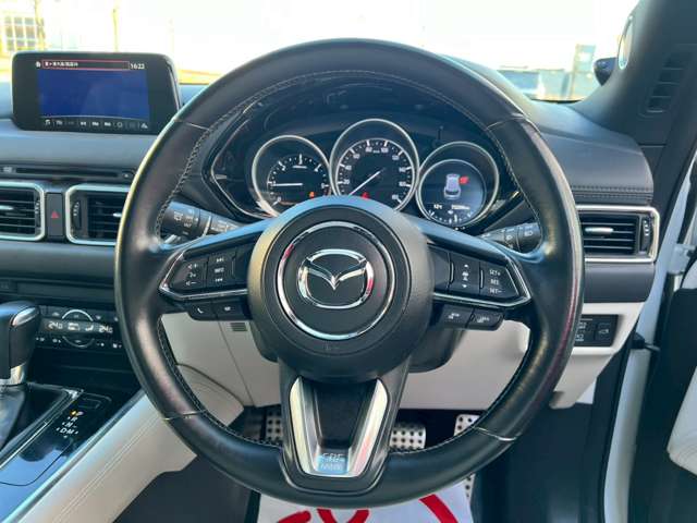 Mazda CX-8 12