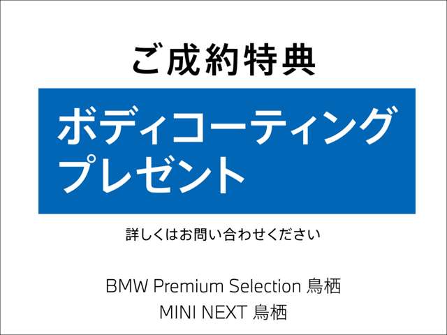 BMW X1 2