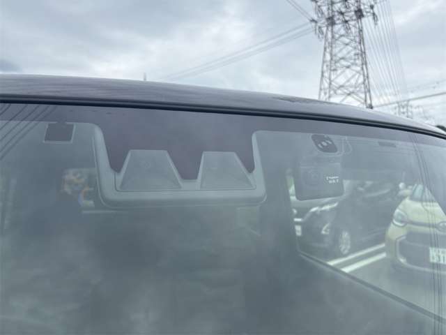 Daihatsu Taft 11