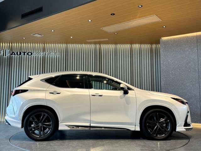 Lexus NX 11