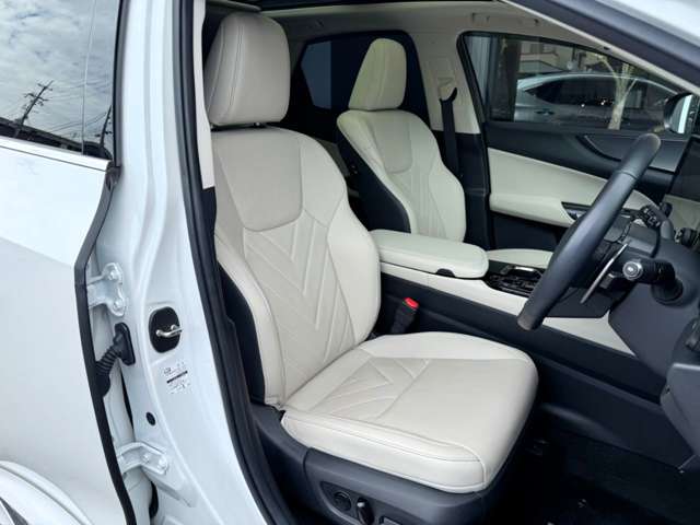 Lexus NX 6