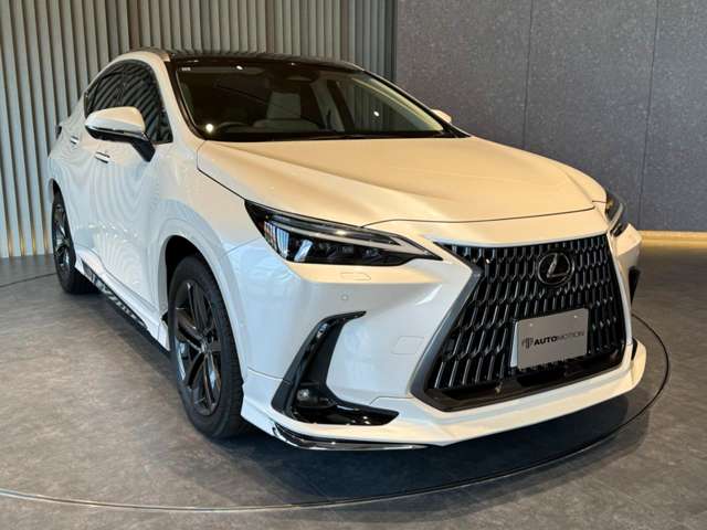 Lexus NX 8