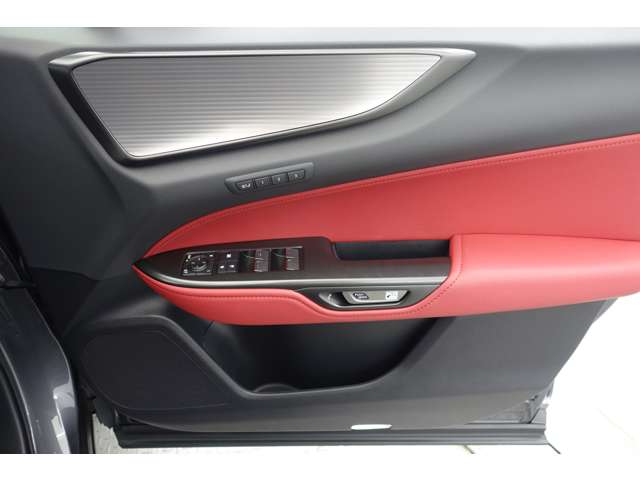 Lexus NX 12