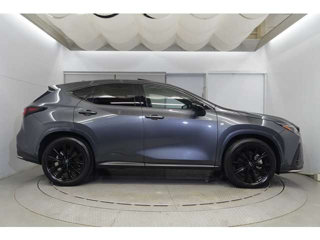 Lexus NX 4