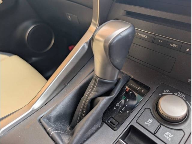 Lexus NX 11