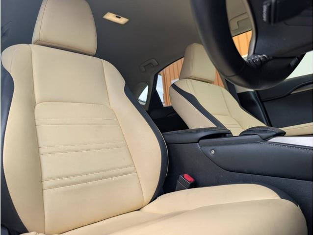 Lexus NX 6