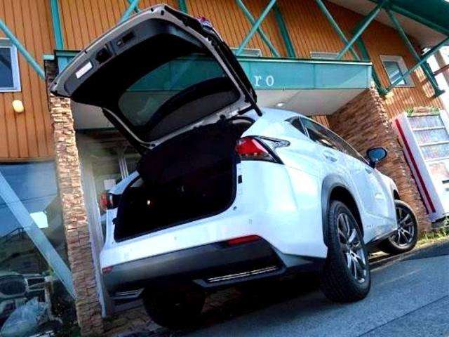 Lexus NX 9