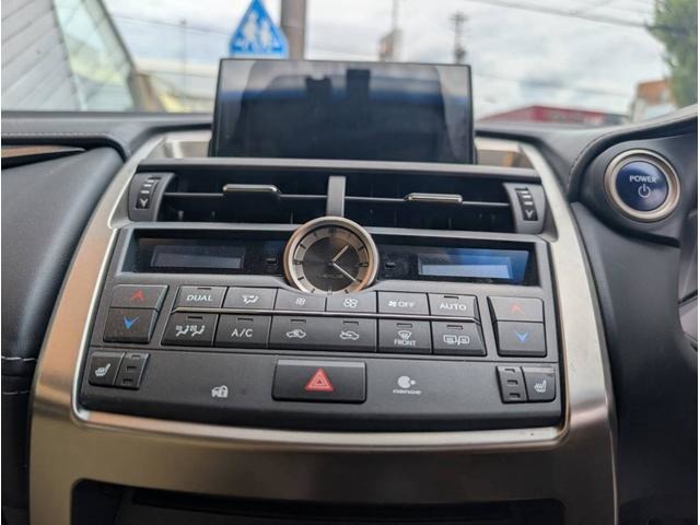 Lexus NX 10