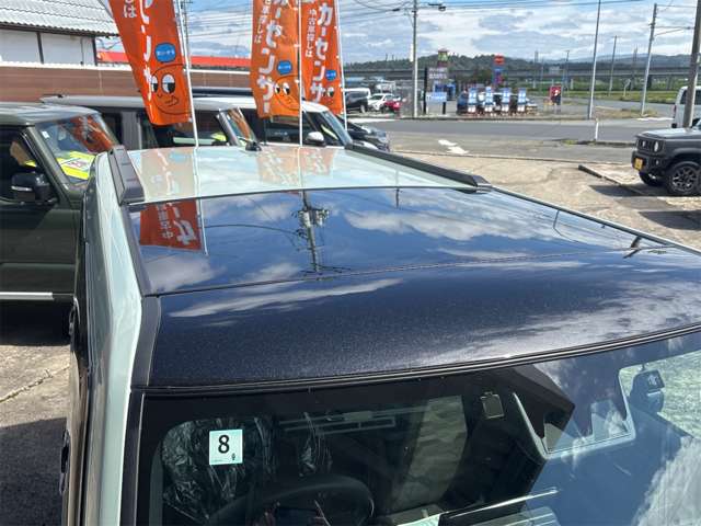 Daihatsu Taft 6