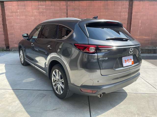 Mazda CX-8 6