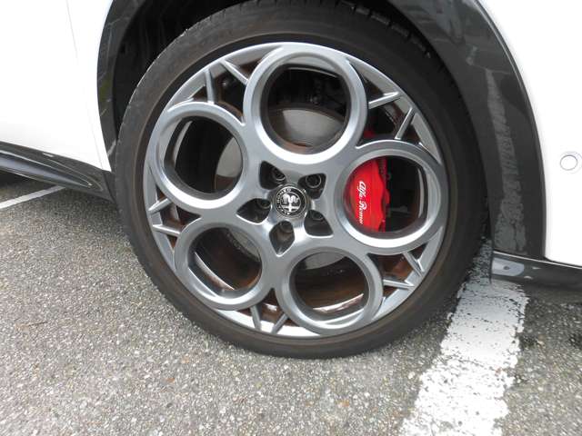 Alfa Romeo トナーレ 6