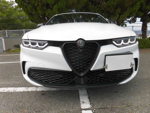 Alfa Romeo トナーレ 8