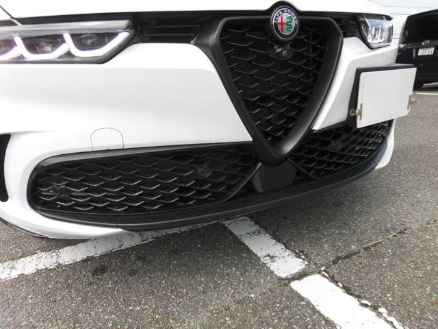 Alfa Romeo トナーレ 10