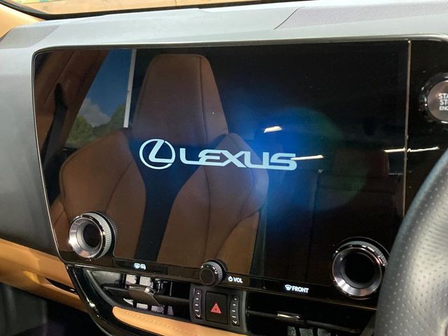 Lexus NX 4
