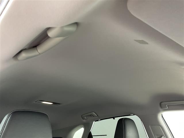 Lexus RX 11