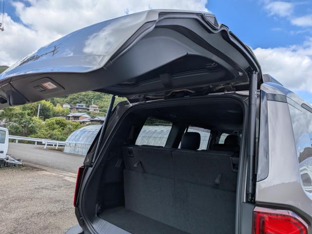 Toyota Land Cruiser 250 12