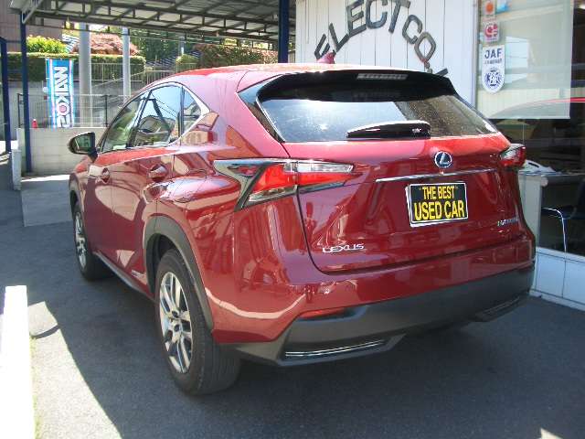 Lexus NX 11