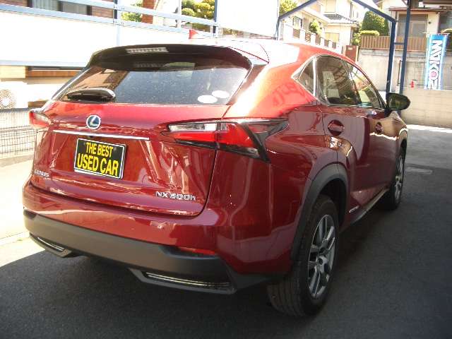Lexus NX 12