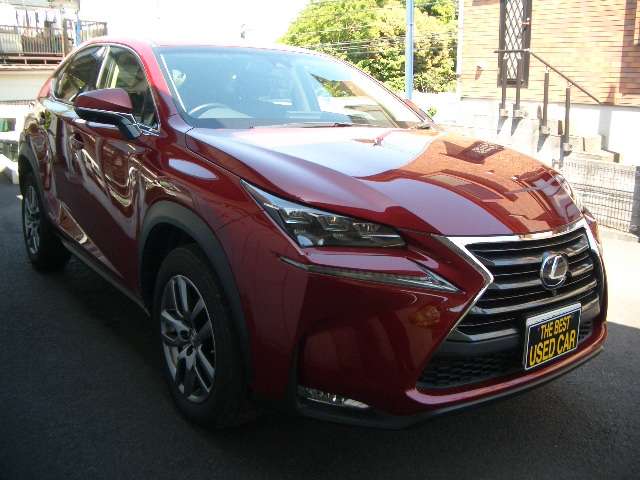 Lexus NX 4