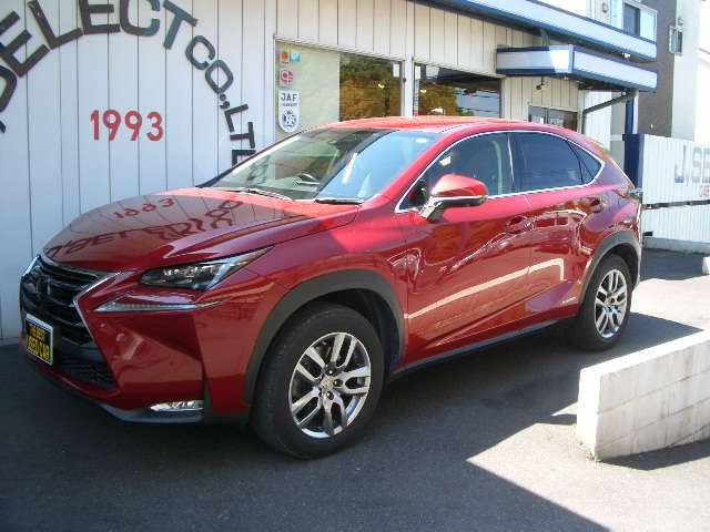Lexus NX 5