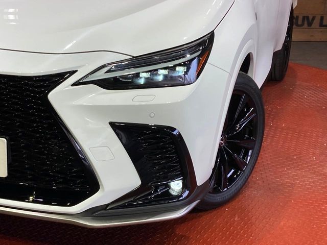 Lexus NX 12