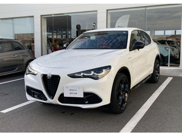 Alfa Romeo Stelvio 11