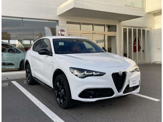 Alfa Romeo Stelvio 12
