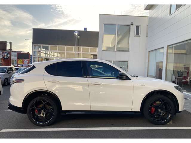 Alfa Romeo Stelvio 6
