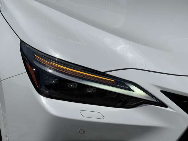 Lexus NX 11