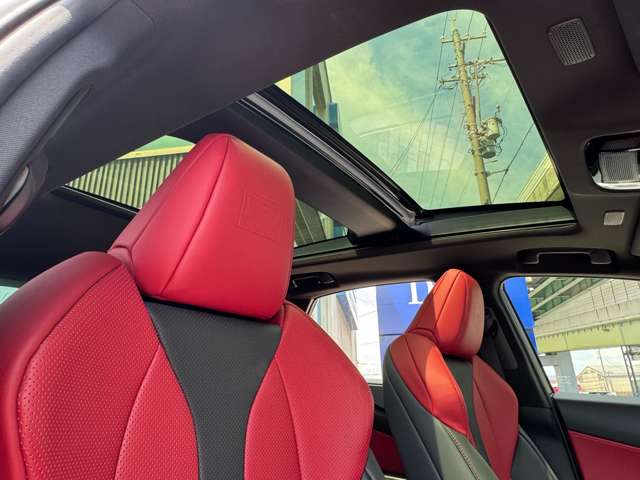 Lexus NX 4