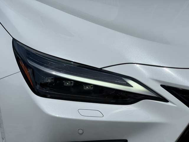 Lexus NX 10