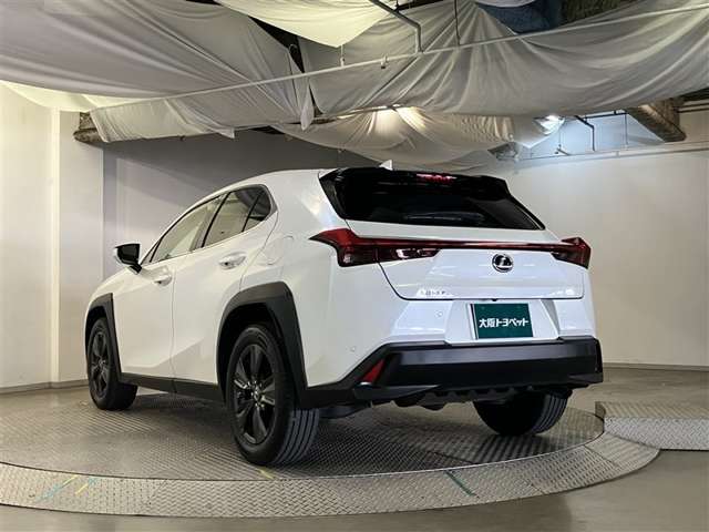 Lexus UX 6