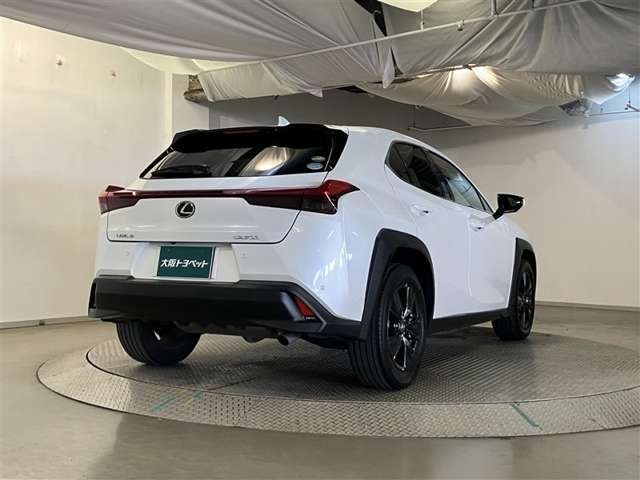 Lexus UX 8