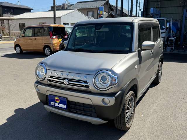 Suzuki Hustler 4