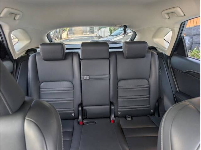Lexus NX 4