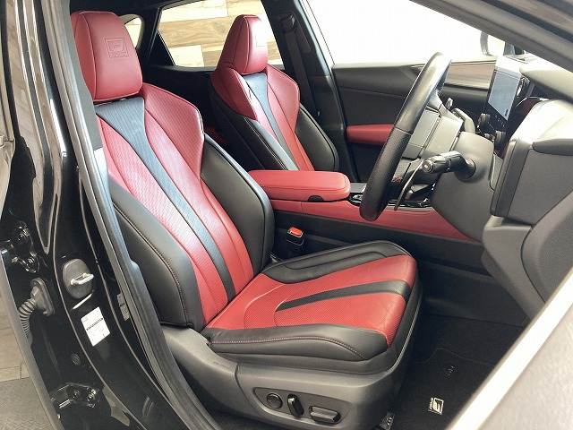 Lexus NX 12