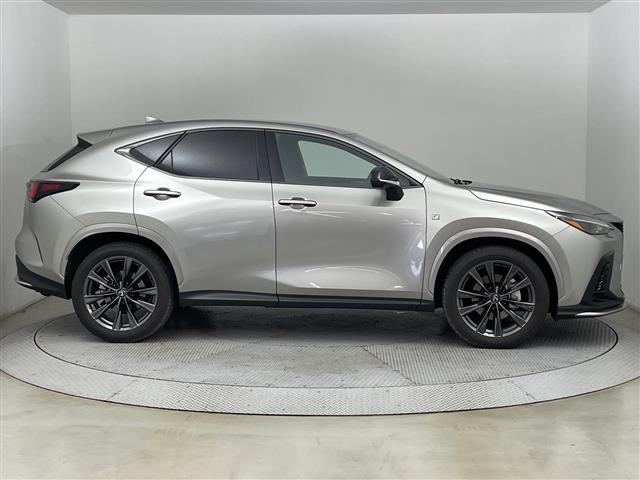 Lexus NX 11