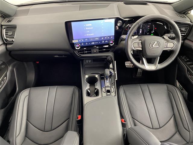 Lexus NX 4
