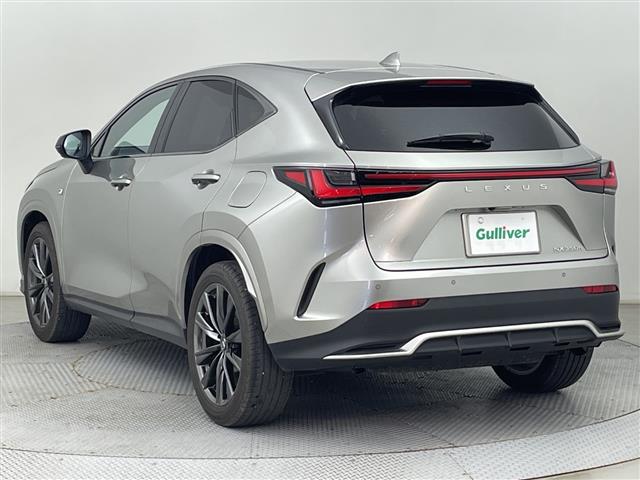 Lexus NX 6